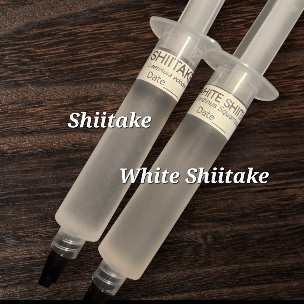 2 Shiitake Mushroom Liquid Cultures, Shiitake and White Shiitake,10 ml Syringes