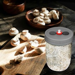 6 Pack Mushroom Growing Supplies – Liquid Culture Jars 500ML with Filter Ports