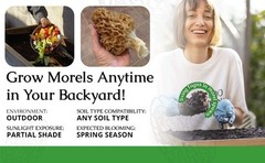 Morel Habitat Kit ® : Backyard Morel Mushroom Grow Kit – S MHK