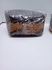 5 lb All in One Mushroom Grow Bag Sterilized GROWING BIO-BAG KIT FAST SHIP [A]
