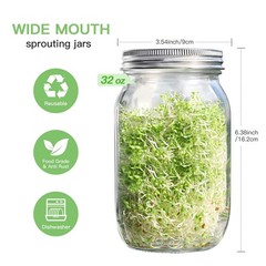 Seed Sprouting Kit – 2 Wide Mouth Jars with Stainless Steel Lids, Drip Tray & St