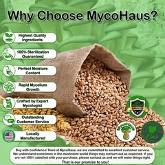 24 x one pound sterilized rye grain bags with injection ports mushroom substrate