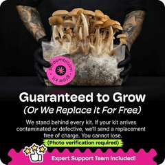 Mushroom Grow Kit – All-in-One 4LB Grow Bag with Self-Healing Port – Fast-Col…