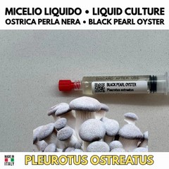 Kingdom Oyster 6 Liquid Crops Pleurotus Blue Pink Golden Phoenix White Black