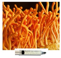 10ml Bay Hydro CordyCeps Mushroom Mycelium Liquid Culture