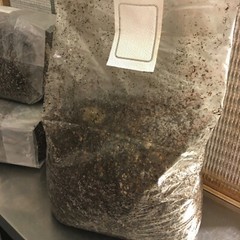 120 LBS Sterilized Compost Bulk Mushroom Substrate Mycology Grow Kit Spawn Bag