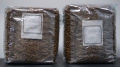 MycoHaus 8 lbs ( 4 pack ) sterilized rye grain berries mushroom spawn grow bag