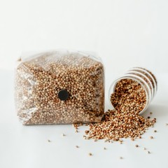 3 Pack | 3lb Milo Sorghum Grain Spawn