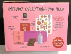 Strawberry Shortcake Decorate & Grow Starter Kit for Kids – Brand New in Box