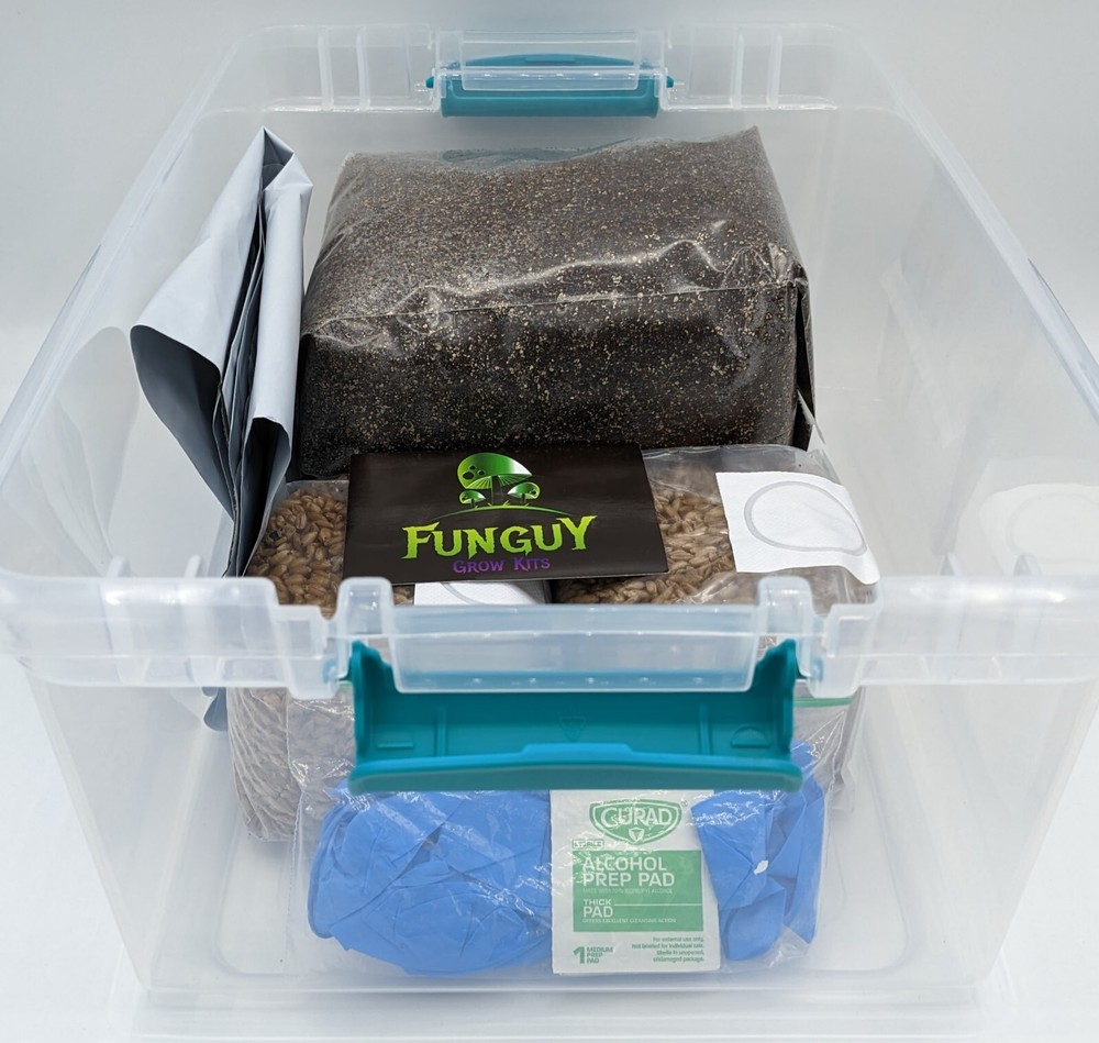 Grow Like Magic – Mushroom Grow Kit, Grain Bags Substrate and Monotub & Bonus