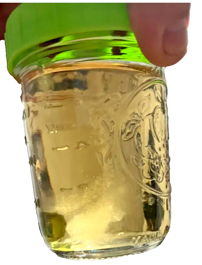 Mushroom Culture Solution – Mushroom Liquid Culture Jar – Regular Mouth