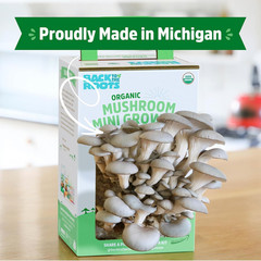 Organic Mini Mushroom Grow Kit, Harvest Gourmet Oyster Mushrooms in 10 Days, Top