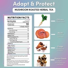 Teeccino Miraculous Mushrooms Adapt & Protect Herbal Tea 25 Count (Pack of 1)