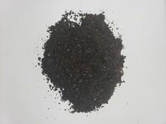 Mushroom grain spawn bag and super substrate kit.2LB grain 4LB substrate.