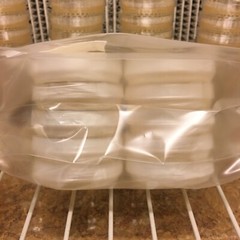 10 Petri Dishes Malt Extract Agar Sterile BD Falcon 60x15mm