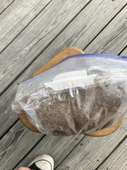 100% Hardwood substrate grow bags