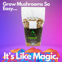 All-in-One Dung Loving Mushroom Growing Kit Bag Grow Substrate & Rye Grain