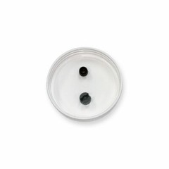6pk Mushroom Grain Spawn Injectable Mason Jar Lid Autoclave 70mm Regular Cap