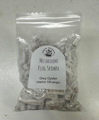 100+ Organic Grey Oyster Gourmet mushroom Plugs for log inoculation – FREE SHIP
