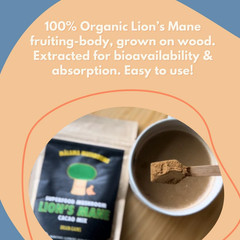 Malama Organic Mushroom Hot Cacao Mix, Lion’S Mane Mushroom Powder with Fair Tra