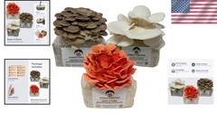 Mushroom Grow Kit – 3-Pack Pink, Brown, White Oyster for Home Gourmets