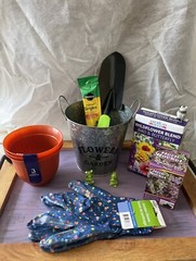 Beginner flower growing kit. Gardening kit gift.