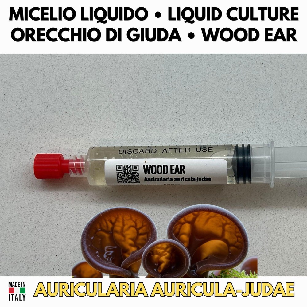 Judas Ear Liquid Culture Earphone Auricula-Judae Mycelium Live 10ml
