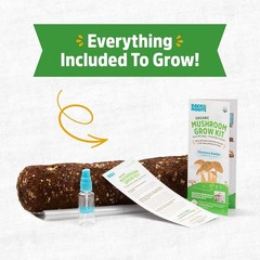 Organic Shiitake Mushroom Kit; Great Gift; Easy for Beginners, for Indoor Growin