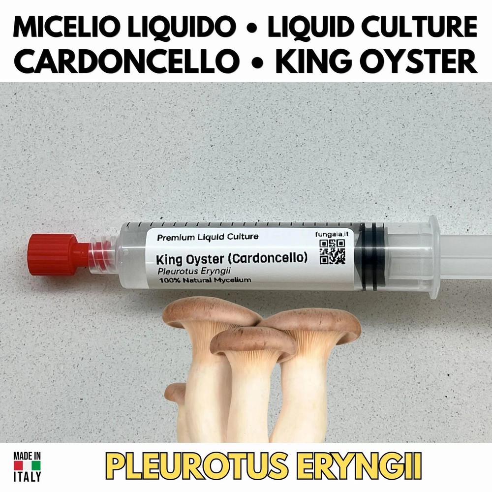 Abalone Mycelium Vivo 10ml Liquid Culture