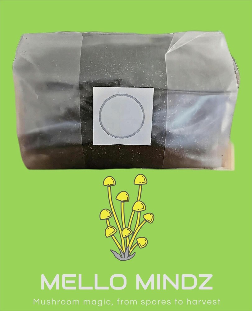 5 lb CVG sterilized mushroom substrate bag