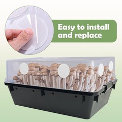 High-Performance 48 Pcs Monotub Adhesive Filter Pads for Mushroom Cultivation