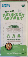 Organic Mini Mushroom Grow Kit Harvest Gourmet Pearl Oyster Complete Gardening