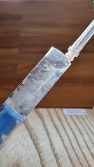 Lion’s Mane Mushroom Spore Syringe