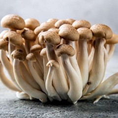 Brown Beech Mushroom Liquid Fungi Live Culture Syringe 10ml