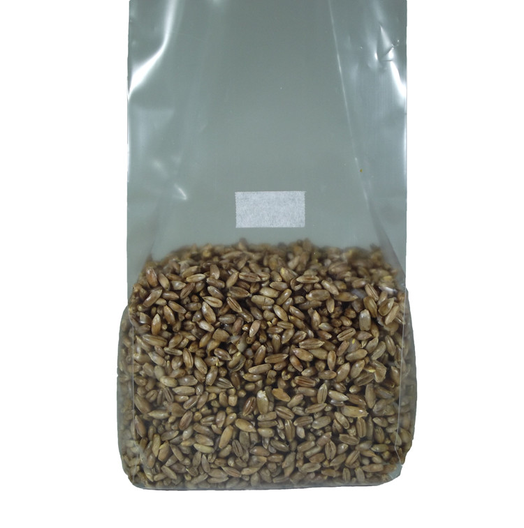 Sterilized Rye Berry Mushroom Substrate (2 one pound bags)