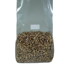 Sterilized Rye Berry Mushroom Substrate (2 one pound bags)