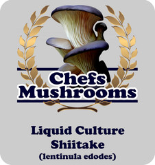 Shiitake Liquid Culture – 12cc Syringe – 5 Pack – Chefs Mushrooms
