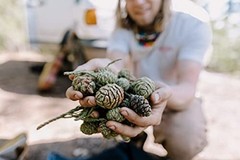 Giant Sequoia | Tree Seed Grow Kit |