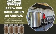 Four Quart Jars of Sterilized Rye Grains with Self Healing Injection Ports
