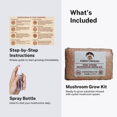 Unique Pink Oyster Mushroom Grow Kit – Made in California