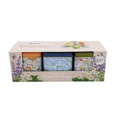 Seeds Herbal Tea Garden Grow Kit – 3 Square Tin Planters with Lavender,