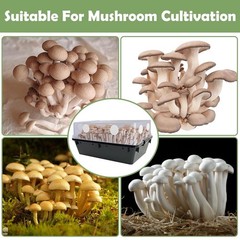 24 Adhesive Monotub Filter Disks, 2.5″ Size for Enhanced Mushroom Cultivation