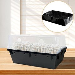 Mushroom Liner Inserts – Fits 66 Quart Containers