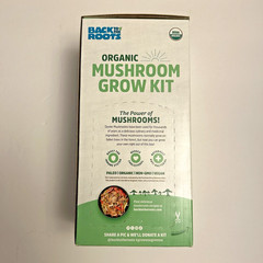 Back to the Roots Organic Oyster Mushroom Grow Kit, Gourmet Mushrooms In 10 Days