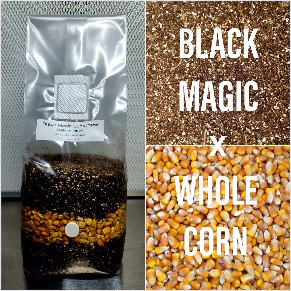 Premium Exotic Dung ALL-IN-ONE Mushroom Grow Kit 1 Pack Kit 3.5lb Bag (CORN) 🍄