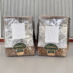 All in One Mushroom Grow Bag (2-Pack) – Org. Grains/CVG For Dung Loving Species