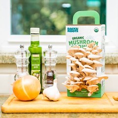 Back to the Roots Organic Oyster Mushroom Grow Kit, Harvest Gourmet Mushrooms…