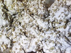 Enoki Mushroom Spawn Mycelium Grow Gourmet & Medicinal Mushroom 5 Gal (Winter)