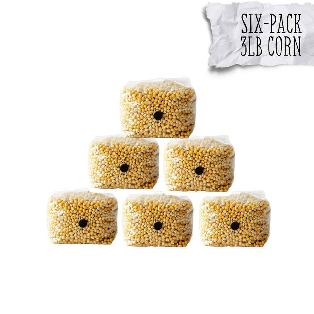 6 Pack | 3lb Drippy Corn Grain Spawn