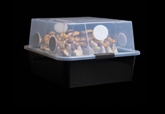 Mushroom Monotub Large 66Q Grow Kit | Complete Mushroom Grow Kit | for Dung-Lovi